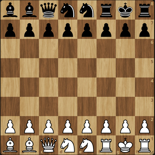 Randomrapid 2026